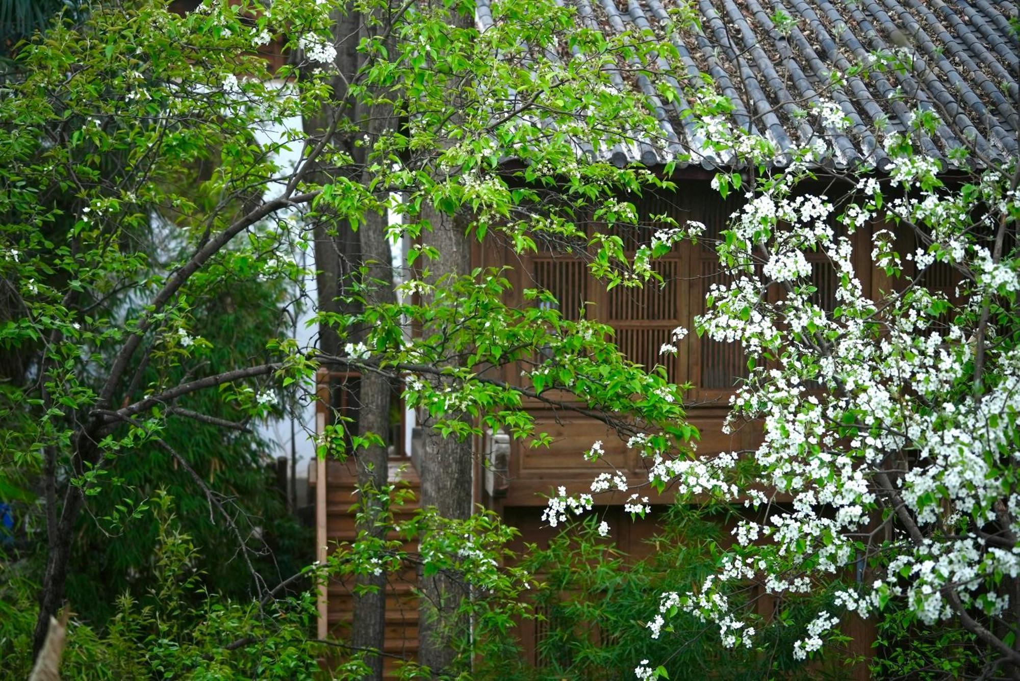 吾爱堂 Daire Lijiang  Dış mekan fotoğraf