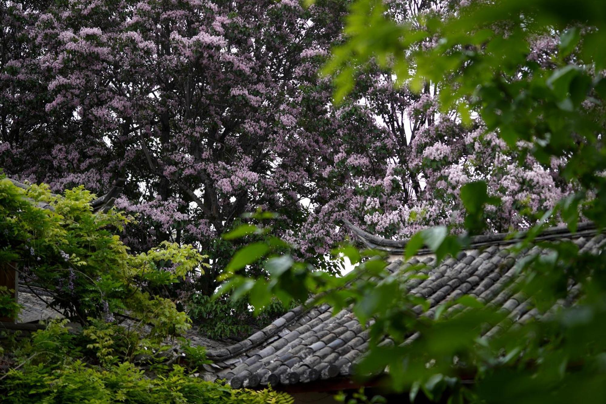 吾爱堂 Daire Lijiang  Dış mekan fotoğraf