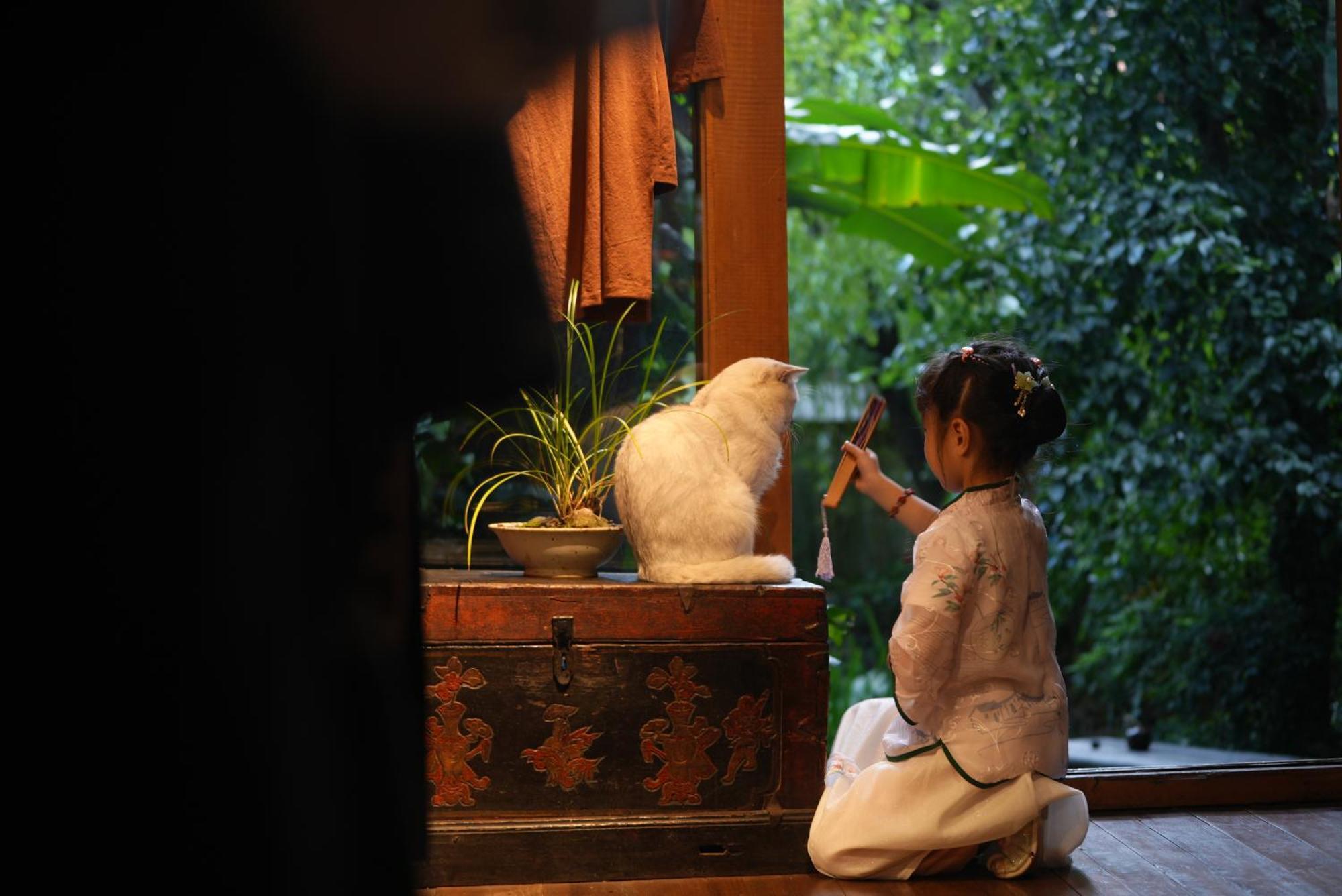 吾爱堂 Daire Lijiang  Dış mekan fotoğraf