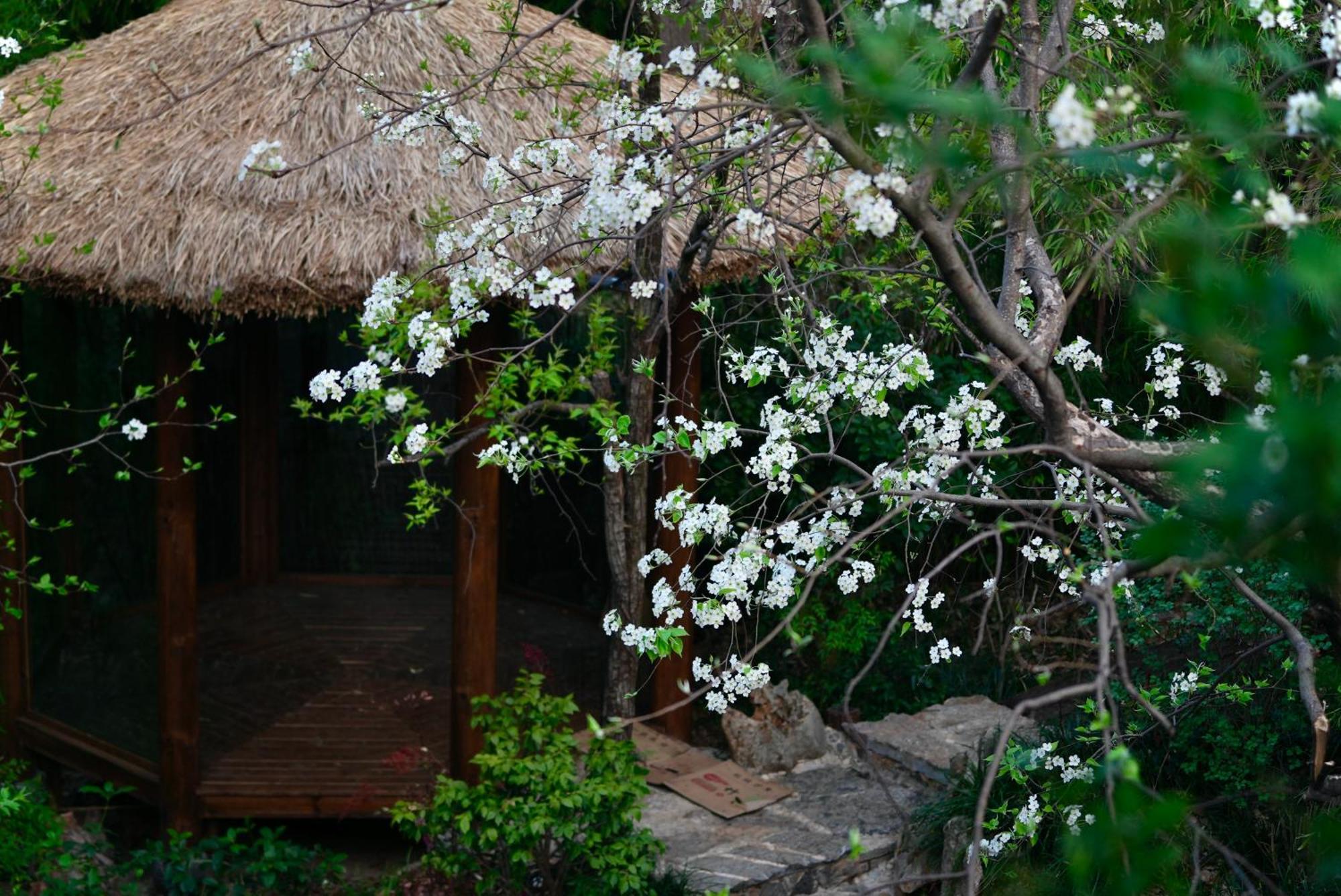 吾爱堂 Daire Lijiang  Dış mekan fotoğraf
