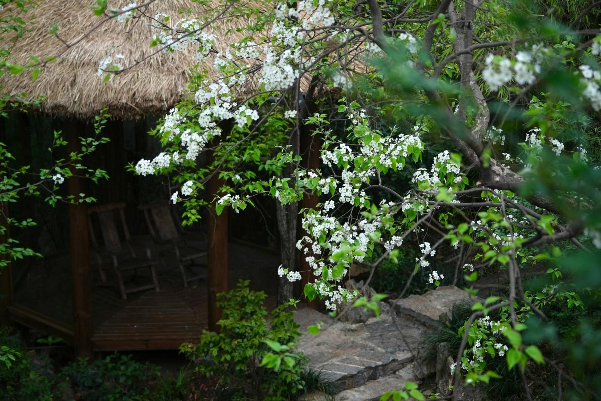 吾爱堂 Daire Lijiang  Dış mekan fotoğraf