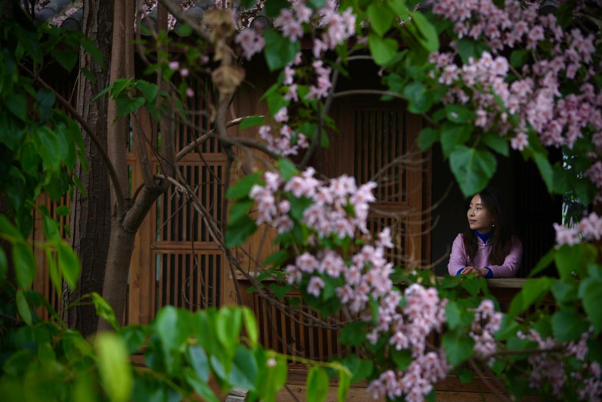 吾爱堂 Daire Lijiang  Dış mekan fotoğraf