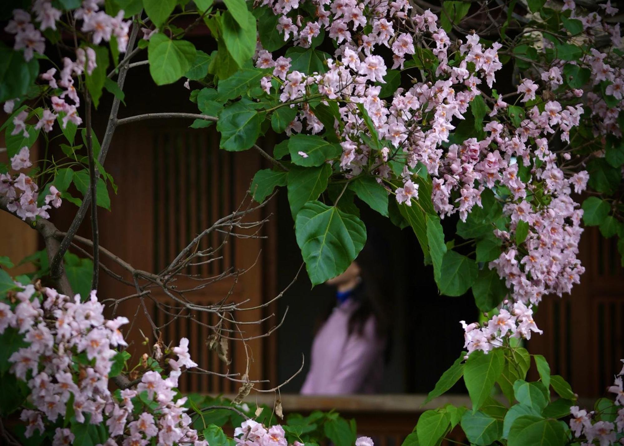 吾爱堂 Daire Lijiang  Dış mekan fotoğraf